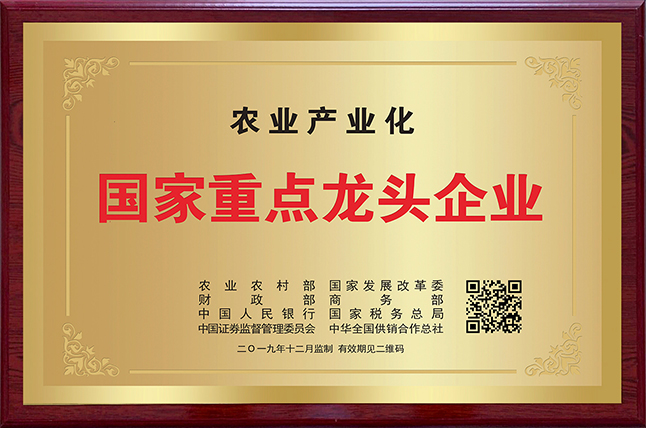 hy3380cc海洋之神(Macau)股份有限公司-Official website