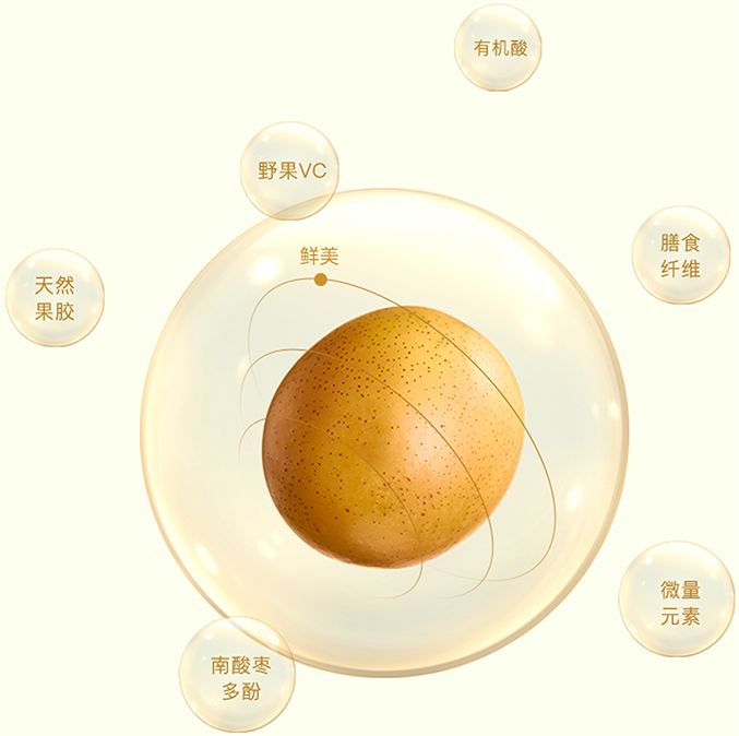 hy3380cc海洋之神(Macau)股份有限公司-Official website