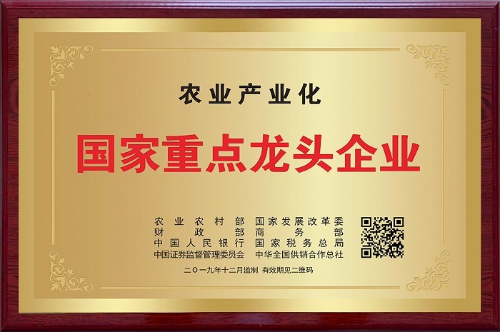 南酸枣龙头与足球冠军的双向奔赴——hy3380cc海洋之神300万总冠名赣超铜仁队 2.jpg